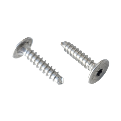 REES STAINLESS STEEL CLIP SCREWS